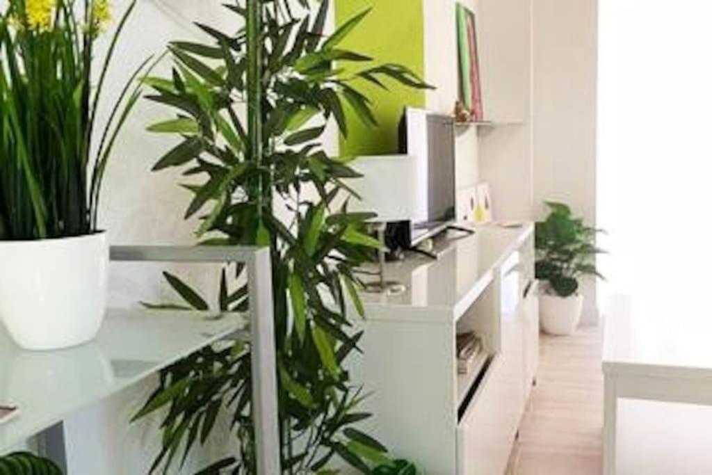 Apartamento Modern Oscvict En Murcja Zewnętrze zdjęcie